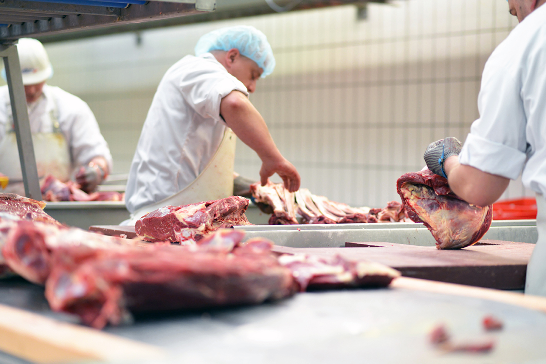 Higiene e Segurança Alimentar – Manipulador de Carnes e seus Produtos - Inicial -    Indústrias alimentares